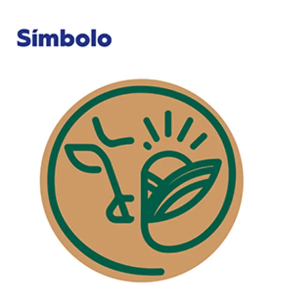 Rebranding - UCDB